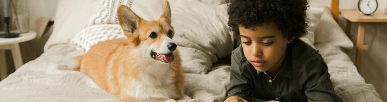 corgi and boy sitting on bed hero - America's Carpet Barn