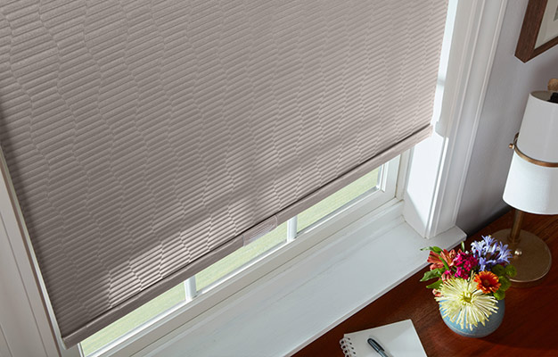 roller shades rs1 - America's Carpet Barn